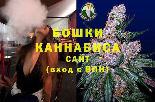 тгк Горно-Алтайск