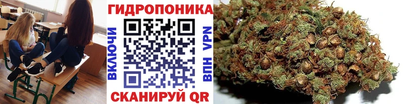 Конопля Ganja Сковородино